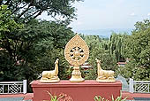 Kangra Valley - Norbulingka Institute - the Dharma Wheel flanked by deers of the main temple 